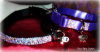 SMALL CUSTOM CRYSTAL DOG COLLAR -- PLEASE SPECIFY DESIRED COLORS